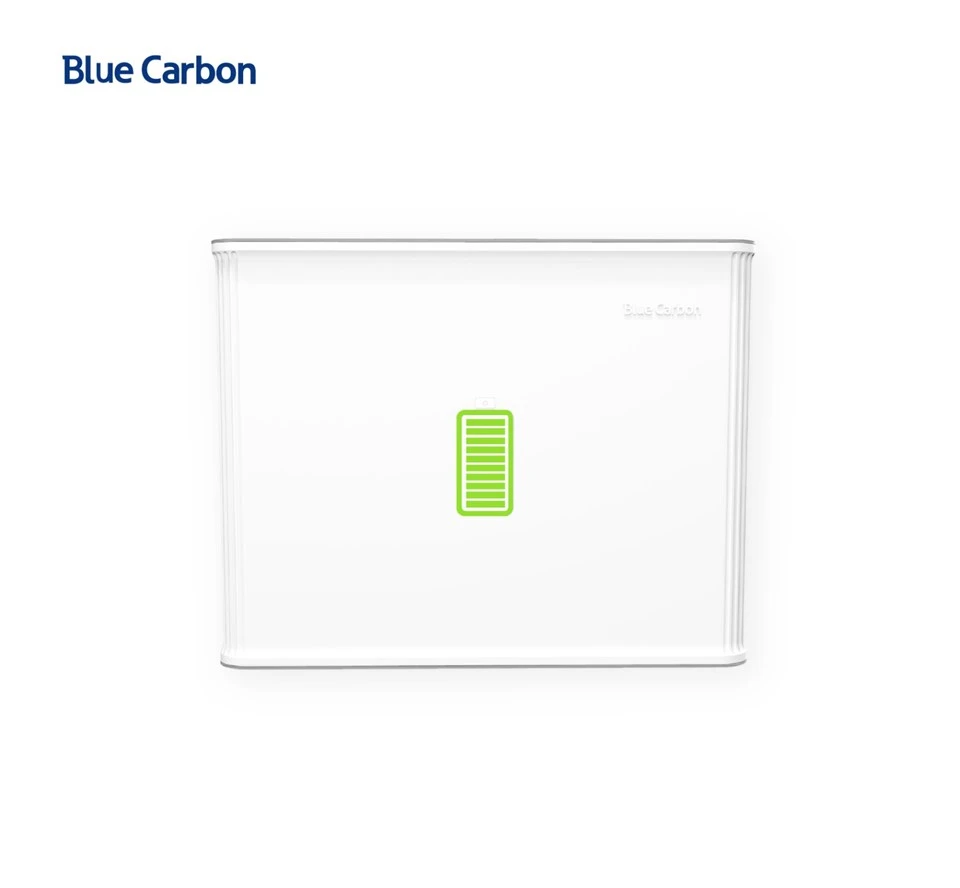 Blue Carbon 48V 100Ah Lithium Ion Battery Home Energy Storage System factory
