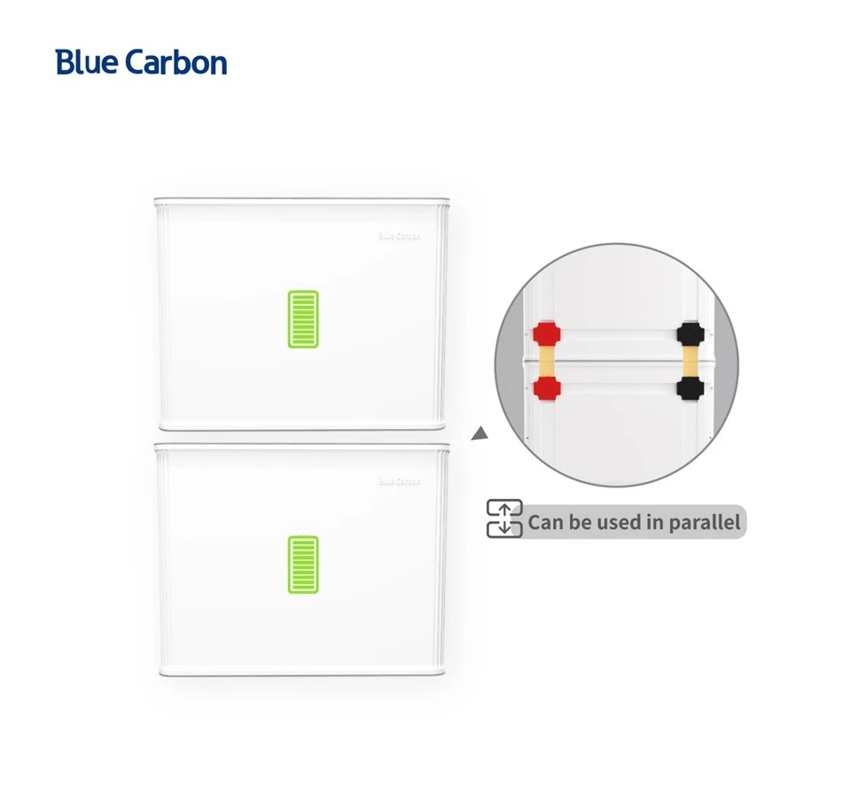 Blue Carbon 48V 100Ah Lithium Ion Battery Home Energy Storage System best